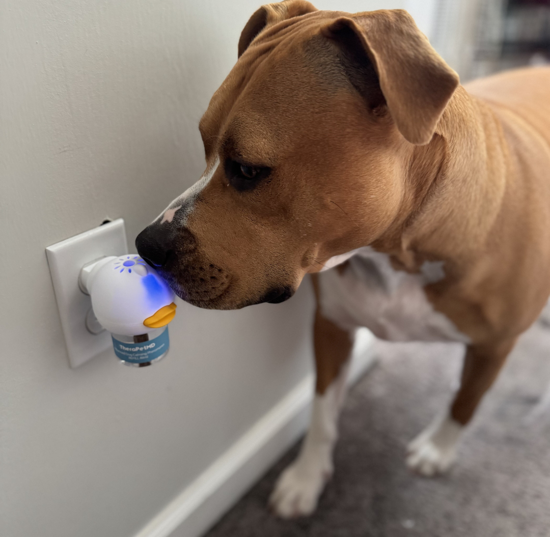 Vet approved products