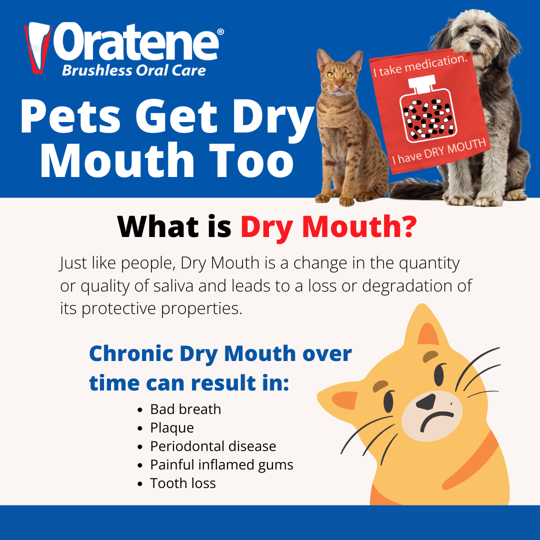 ZYMOX Enzymatic Dermatology Products for Small and Large Animals