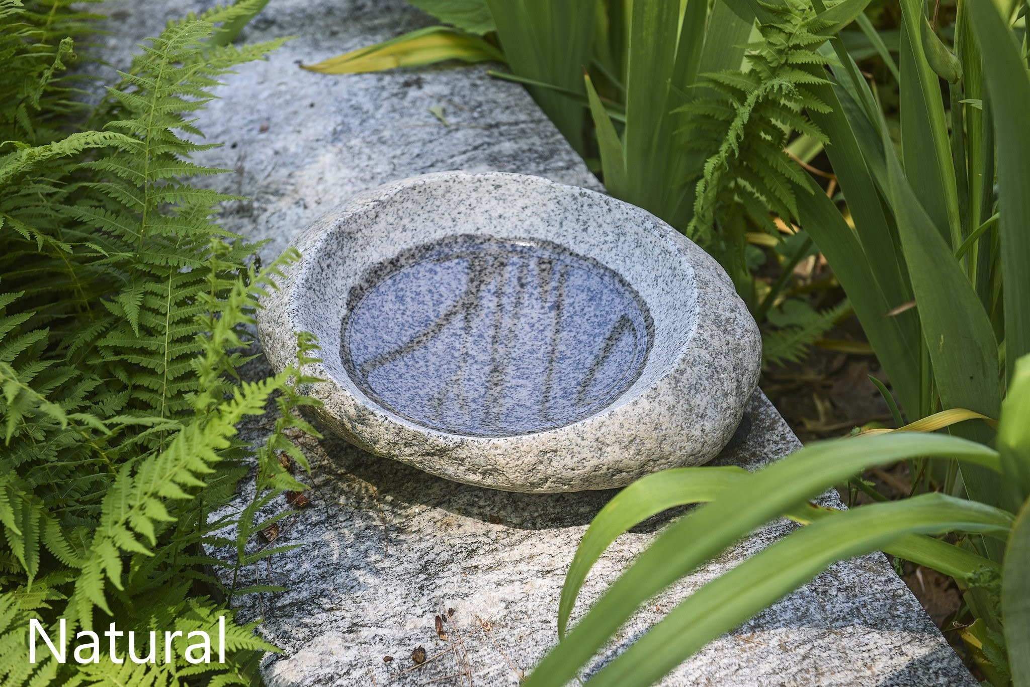 Dances With Stone
