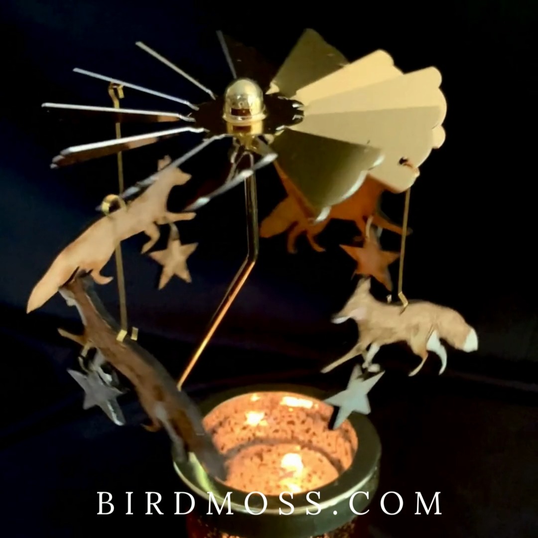 Birdmoss - Glimpse a Magical World