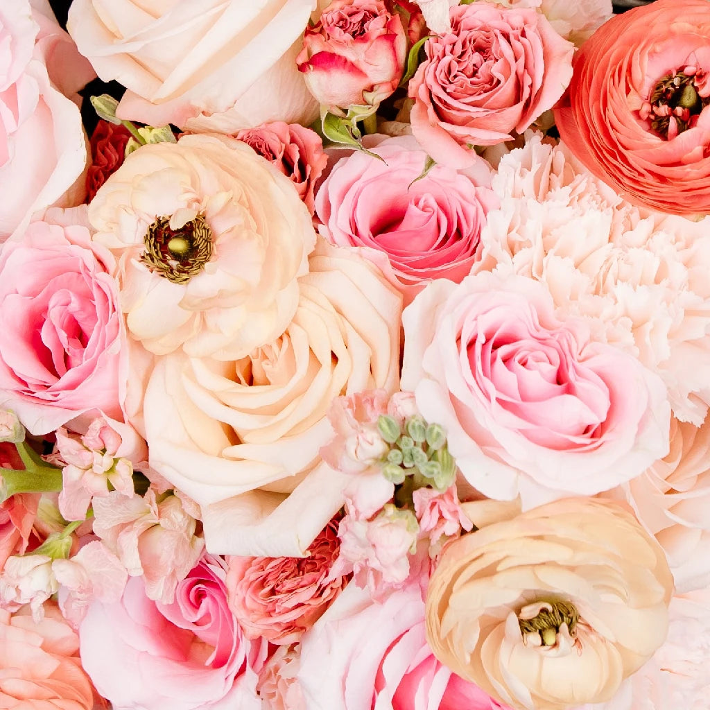 FiftyFlowers