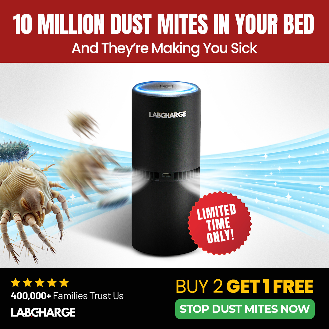 Ionic Air Purifier