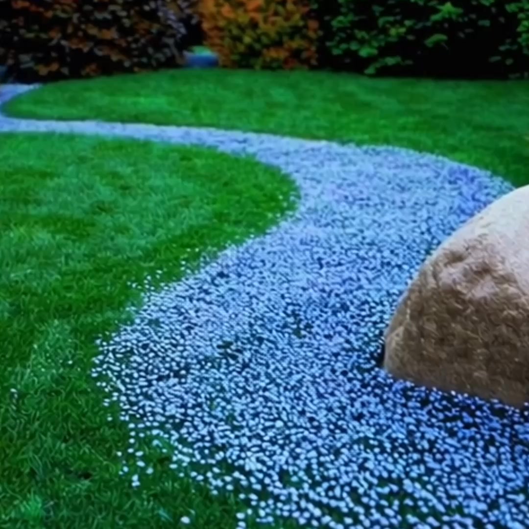 Creeping Thyme Seeds Co.