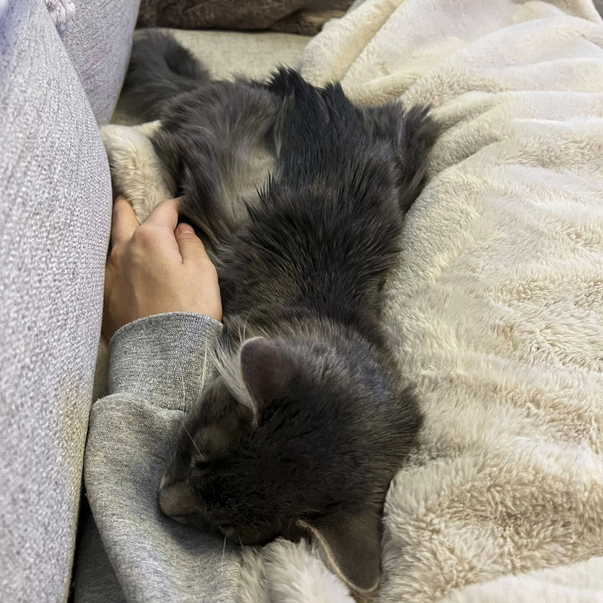 Maxpaw Health