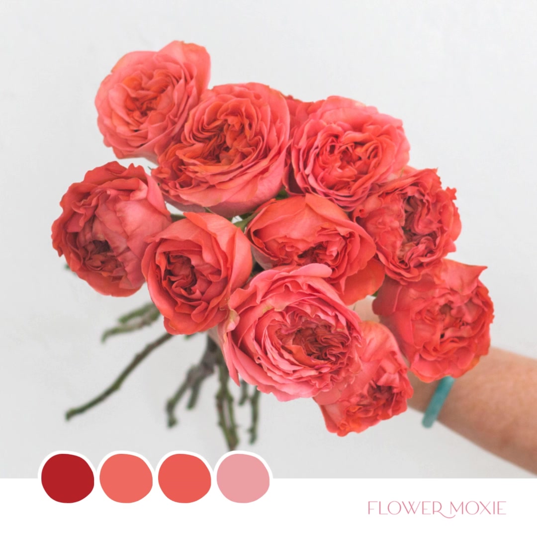 Flower Moxie