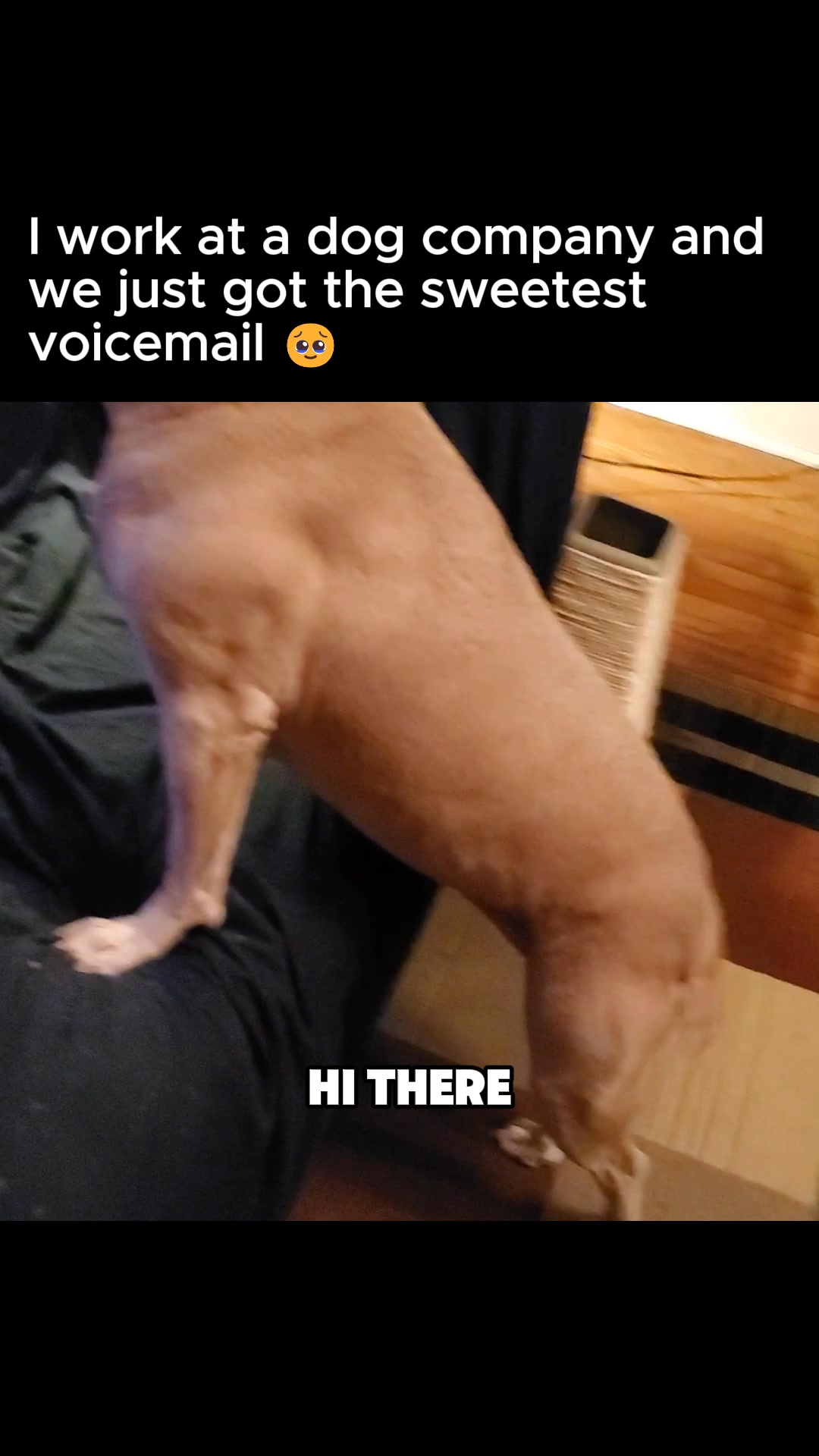 WINPRO Pet