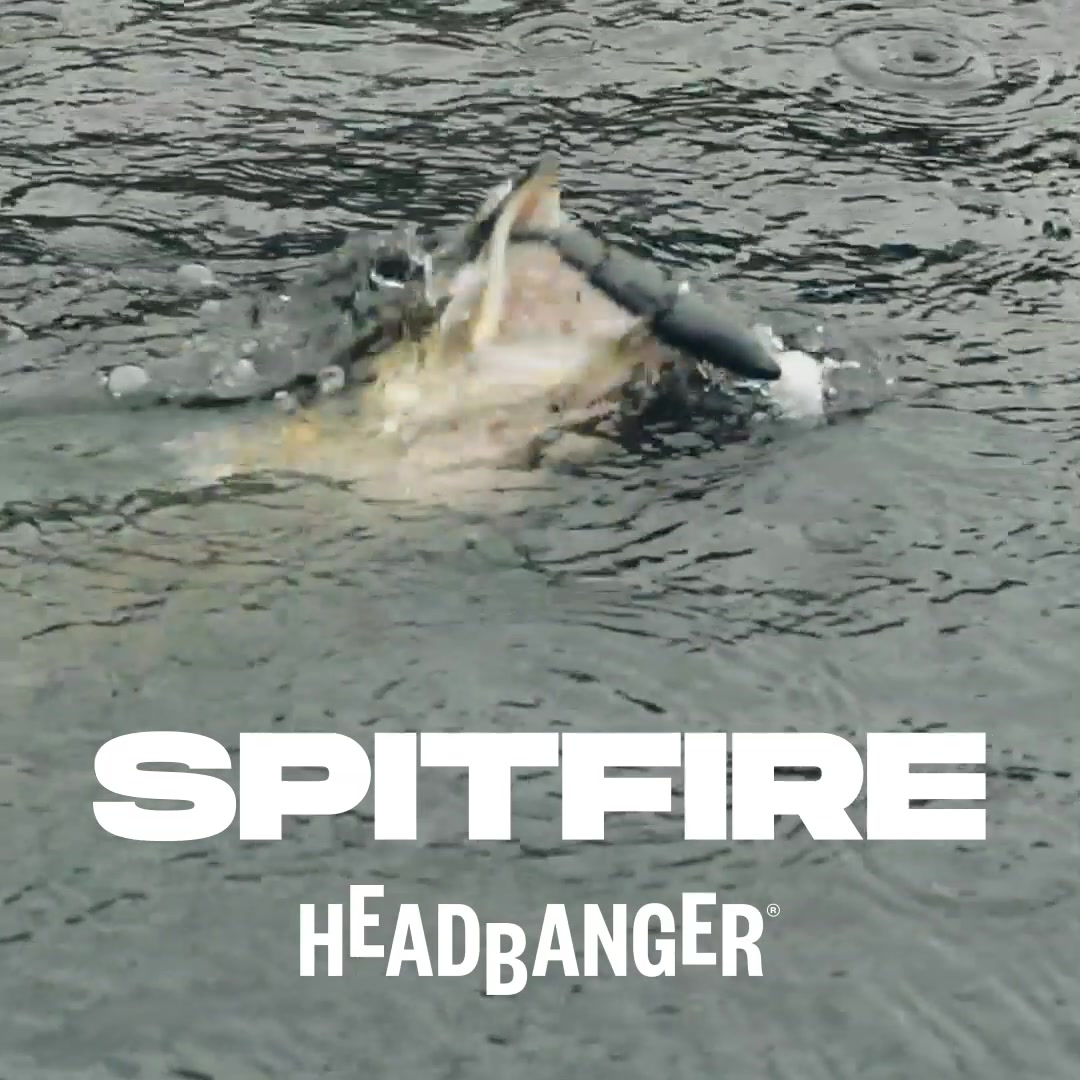 HEADBANGER Lures