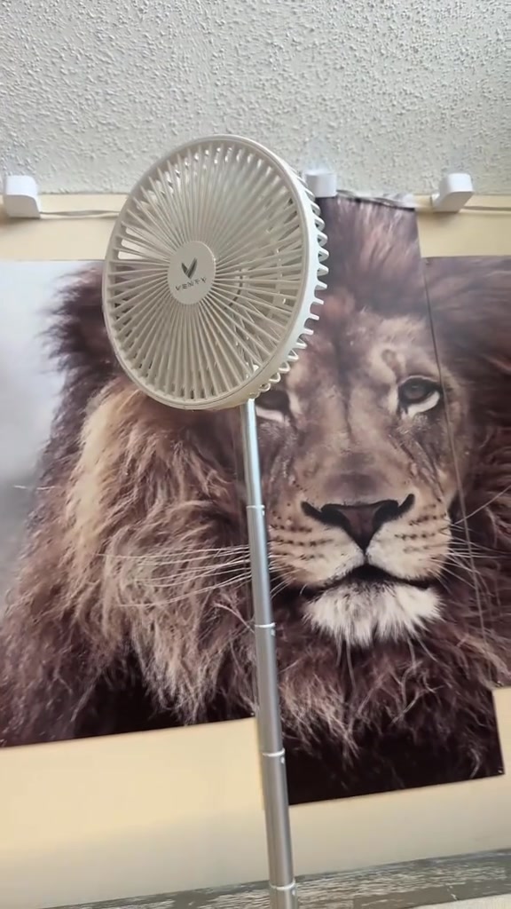 Venty Fan