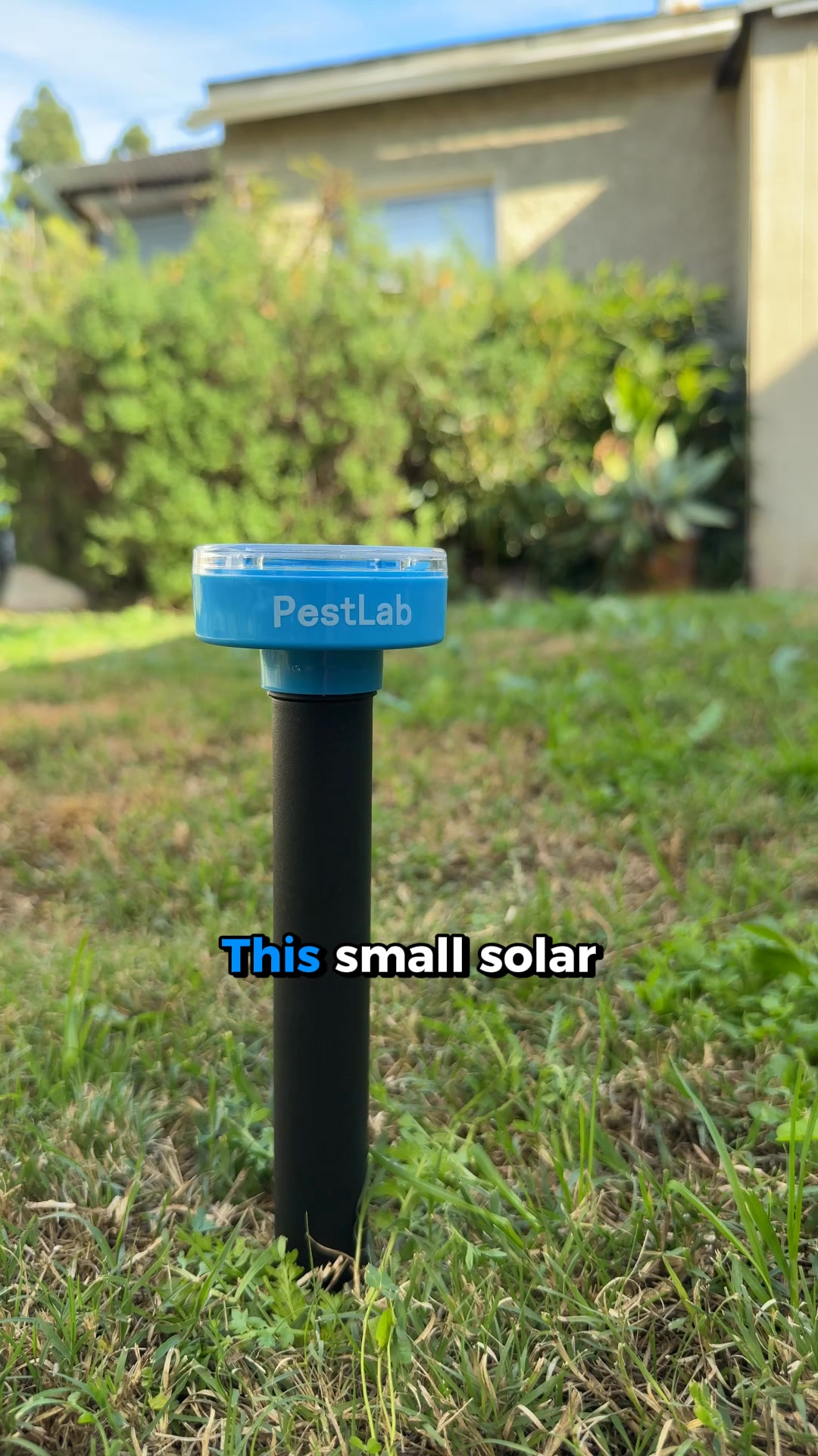 Pestlab Co