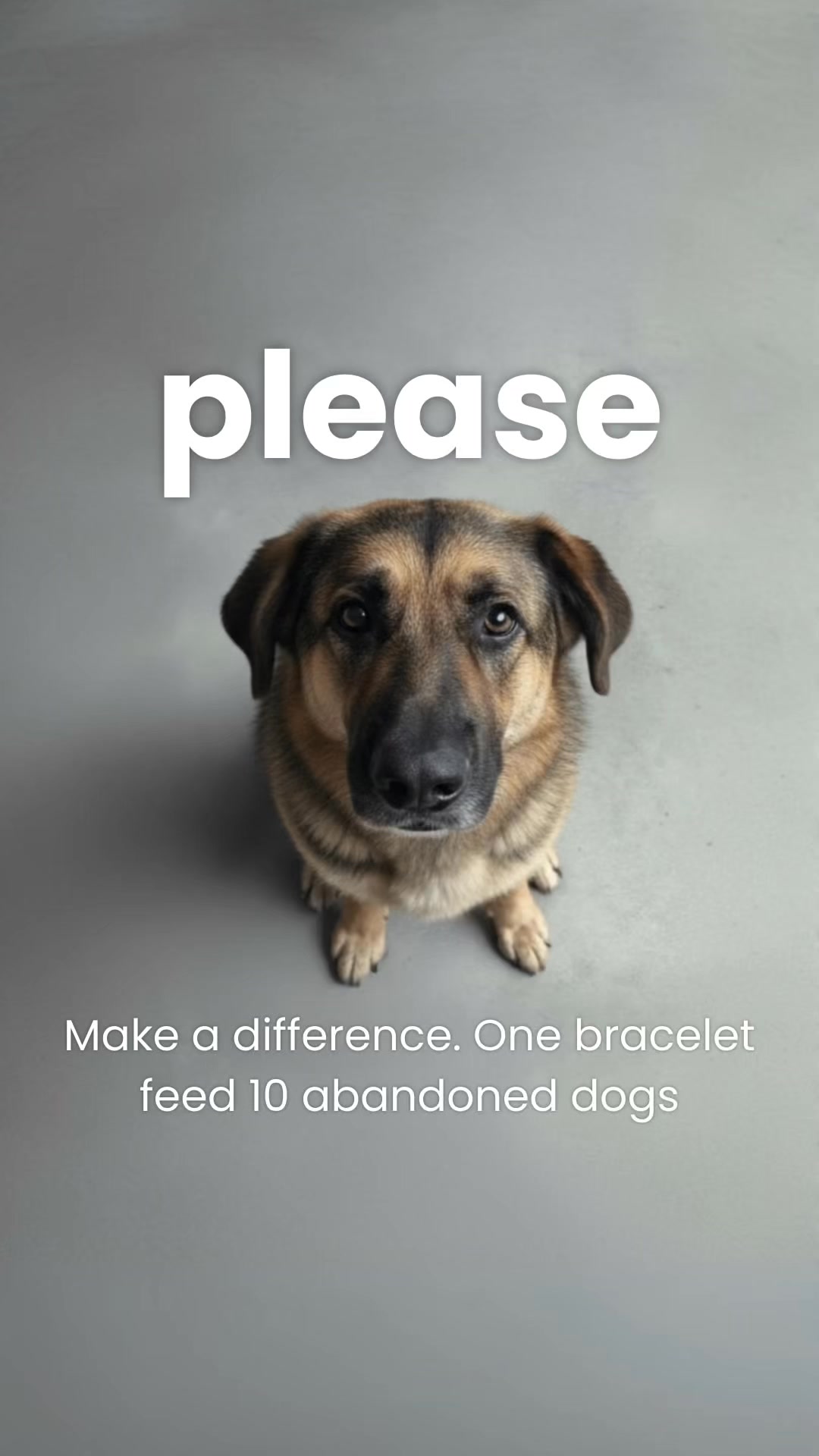 Rescue Paws