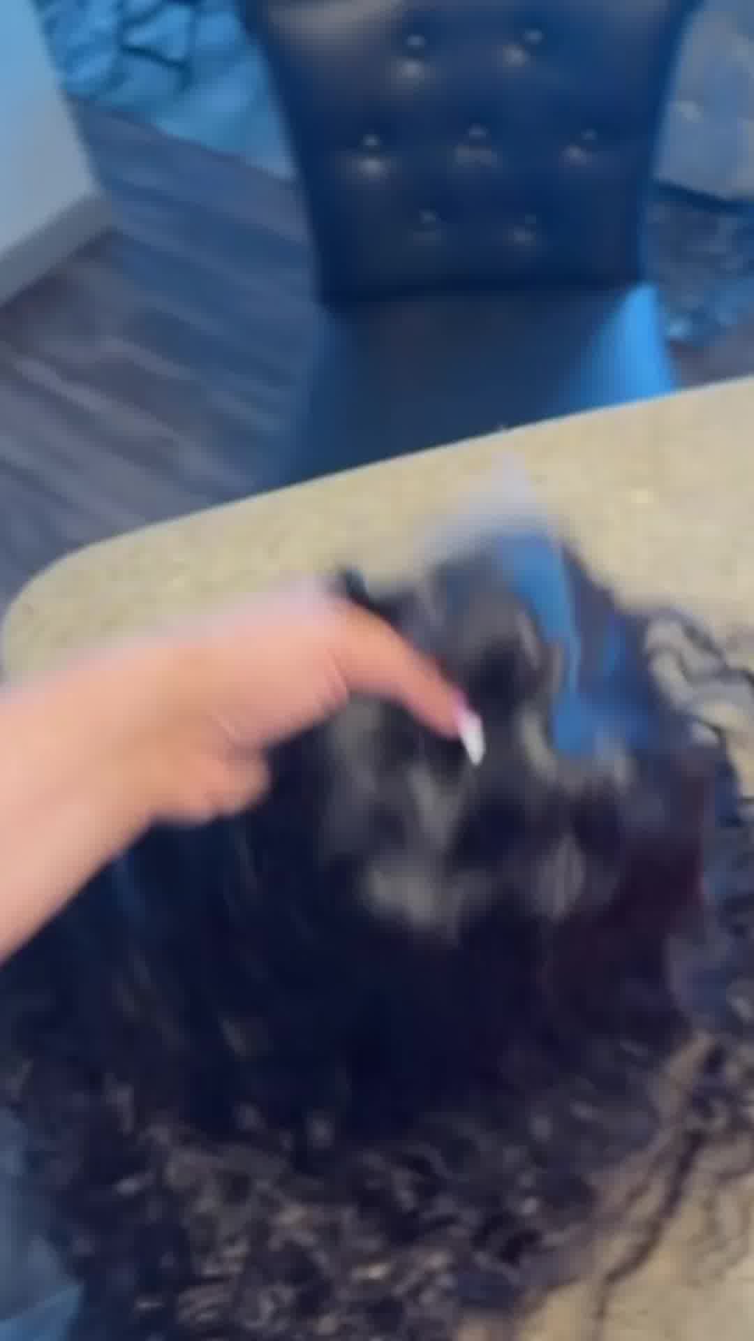 Lemoda Hair