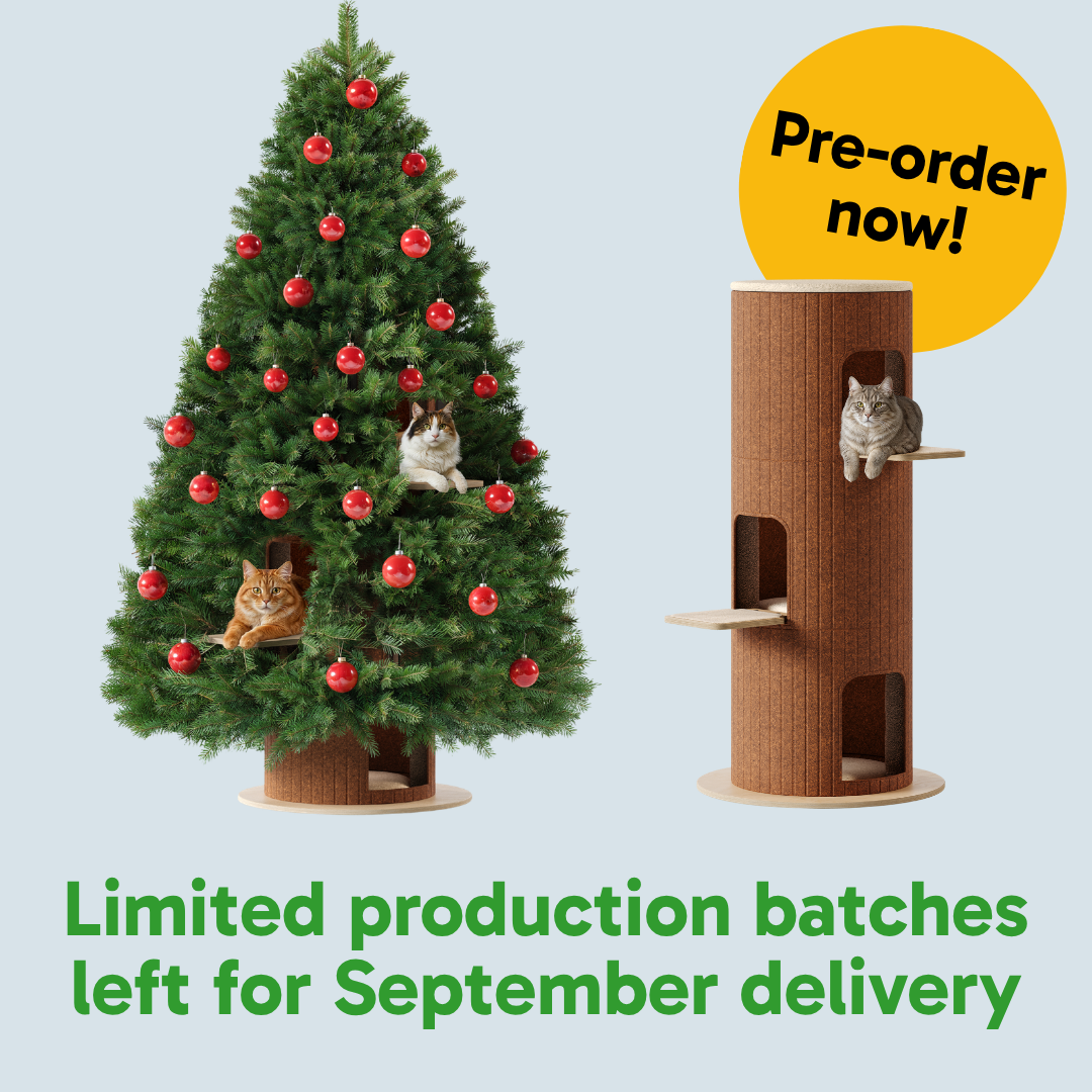 Cat Christmas Tree