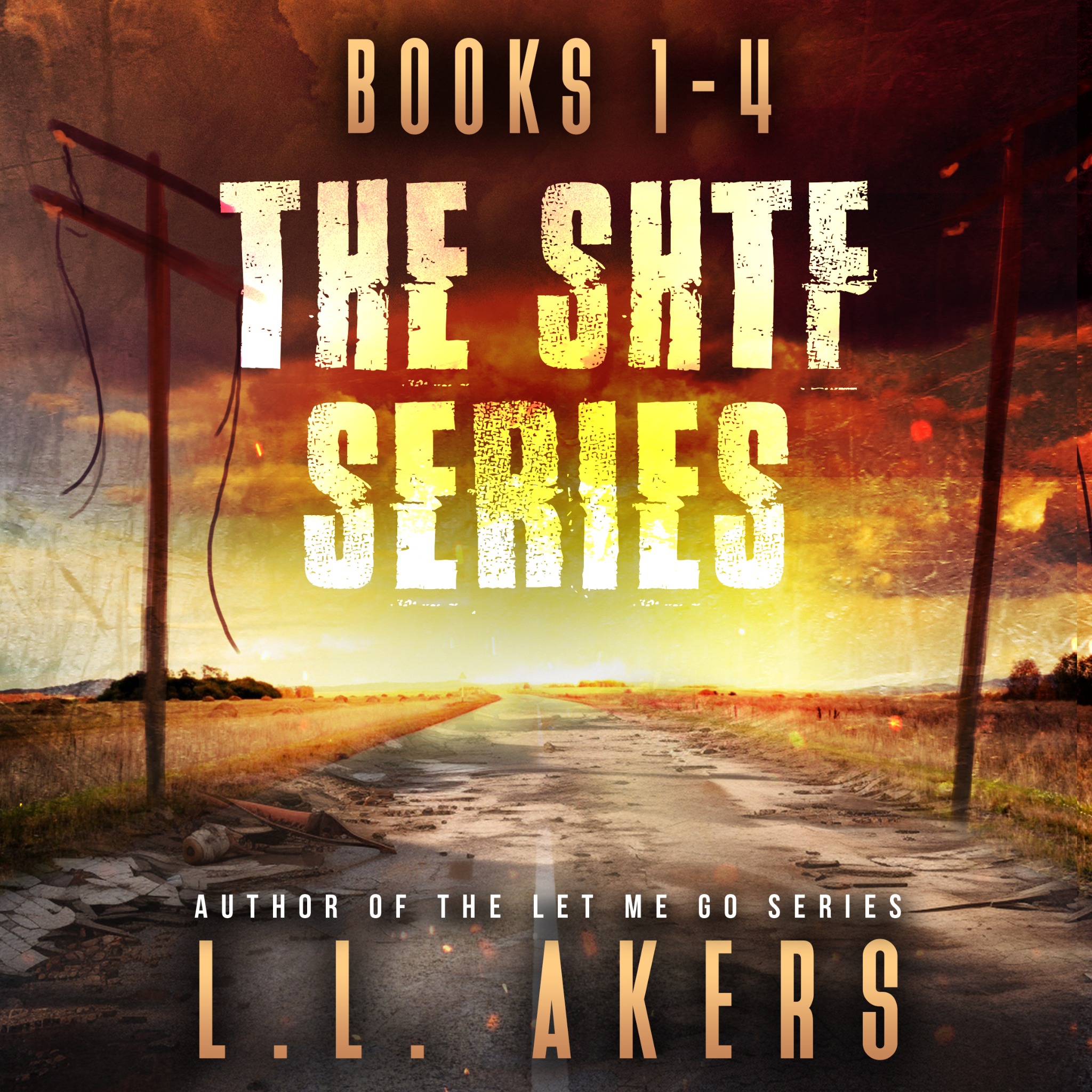 L.L. Akers aka Lisa Akers, Writer
