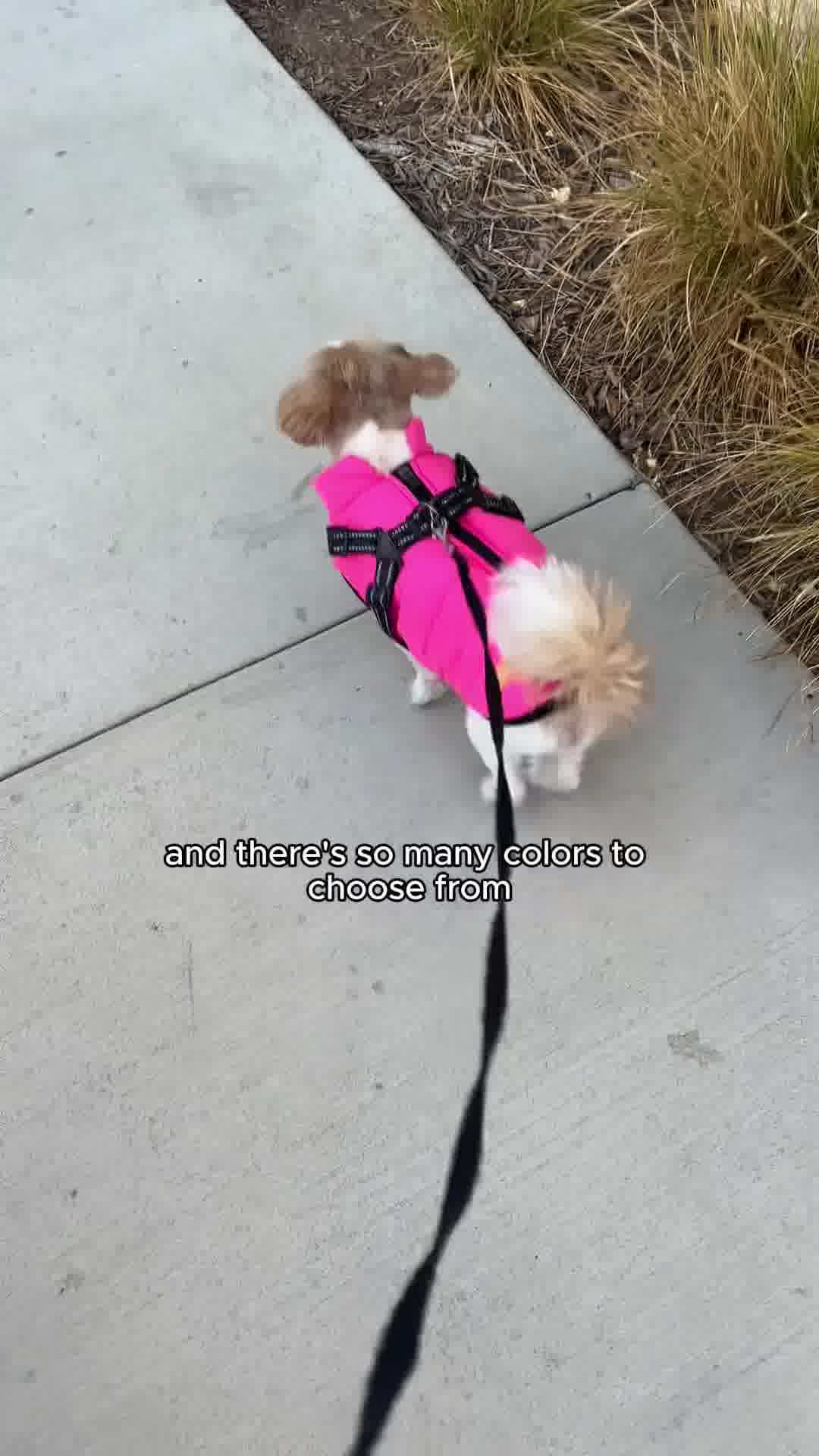 Furry King Dog Winter Coat
