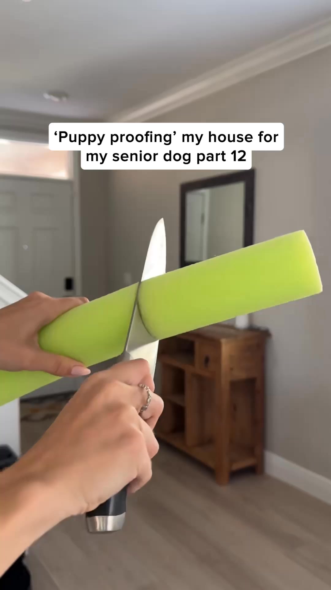 AuraPets Vision Essentials