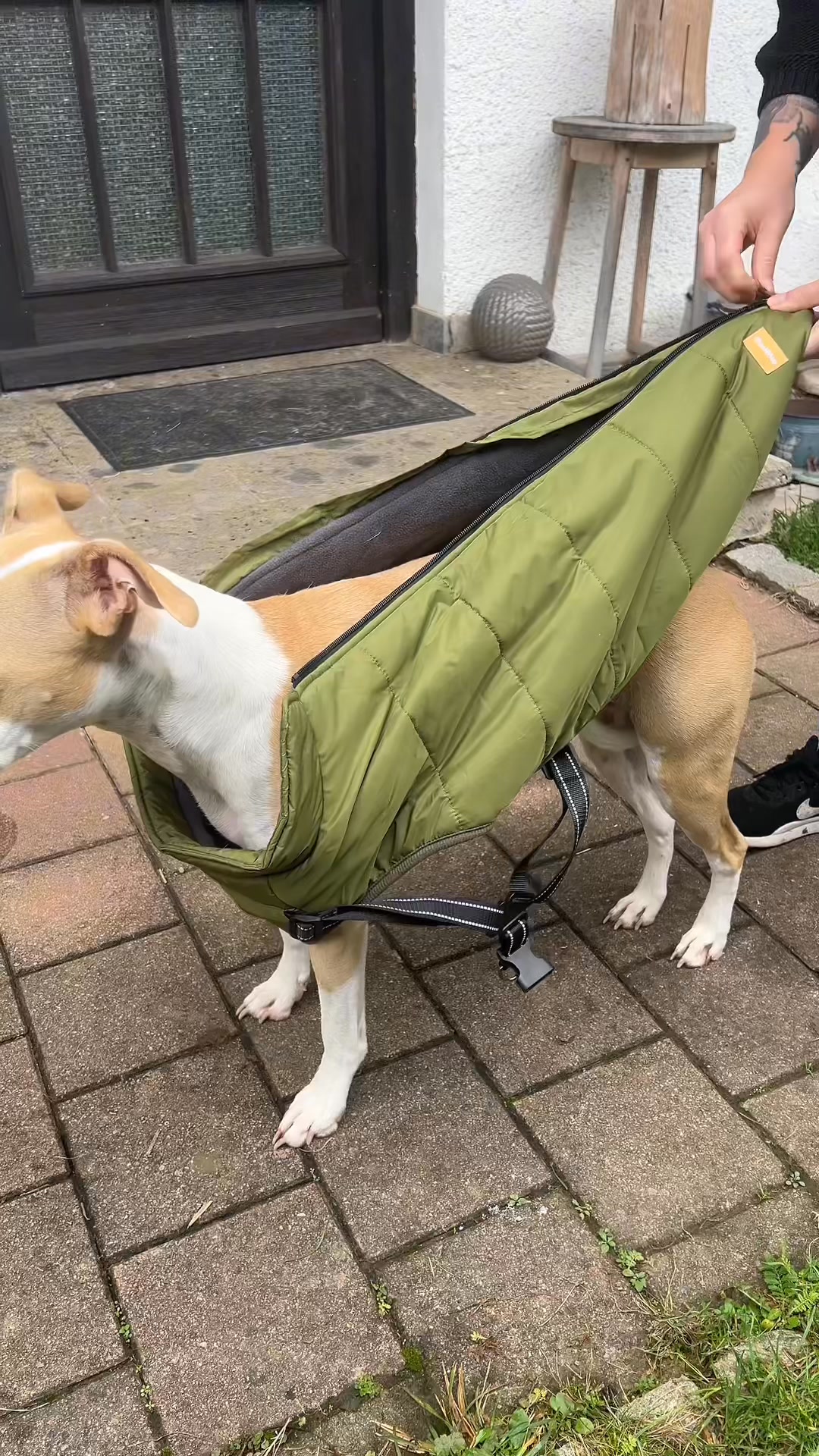 Furry King Dog Winter Coat