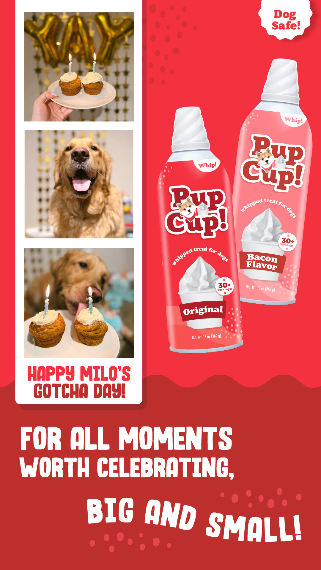 Pup Cup