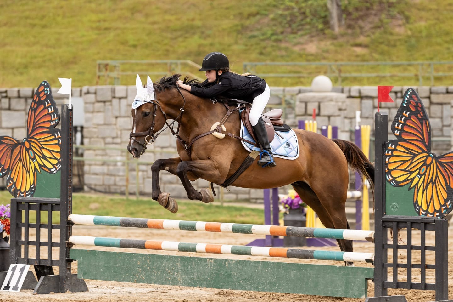 100X Equine