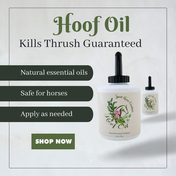 Sport Horse Essentials