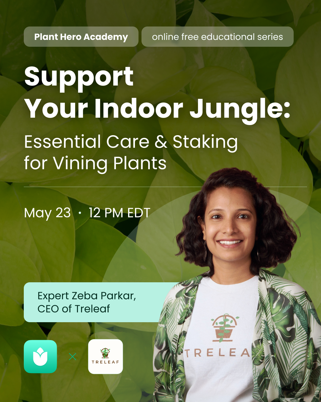 PlantIn AI: Never Kill Your Plants