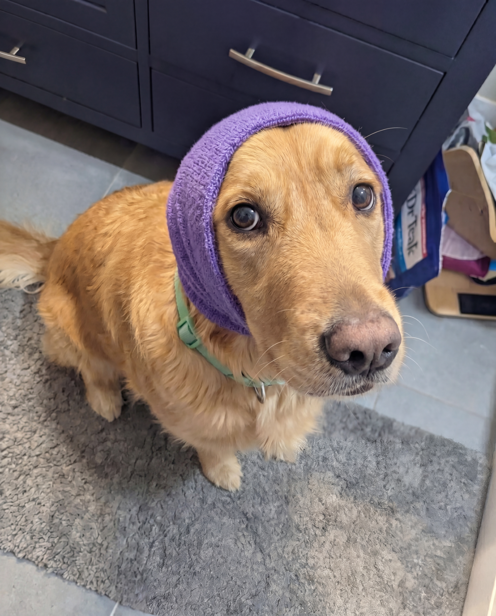 Unfiltered Dog Moms