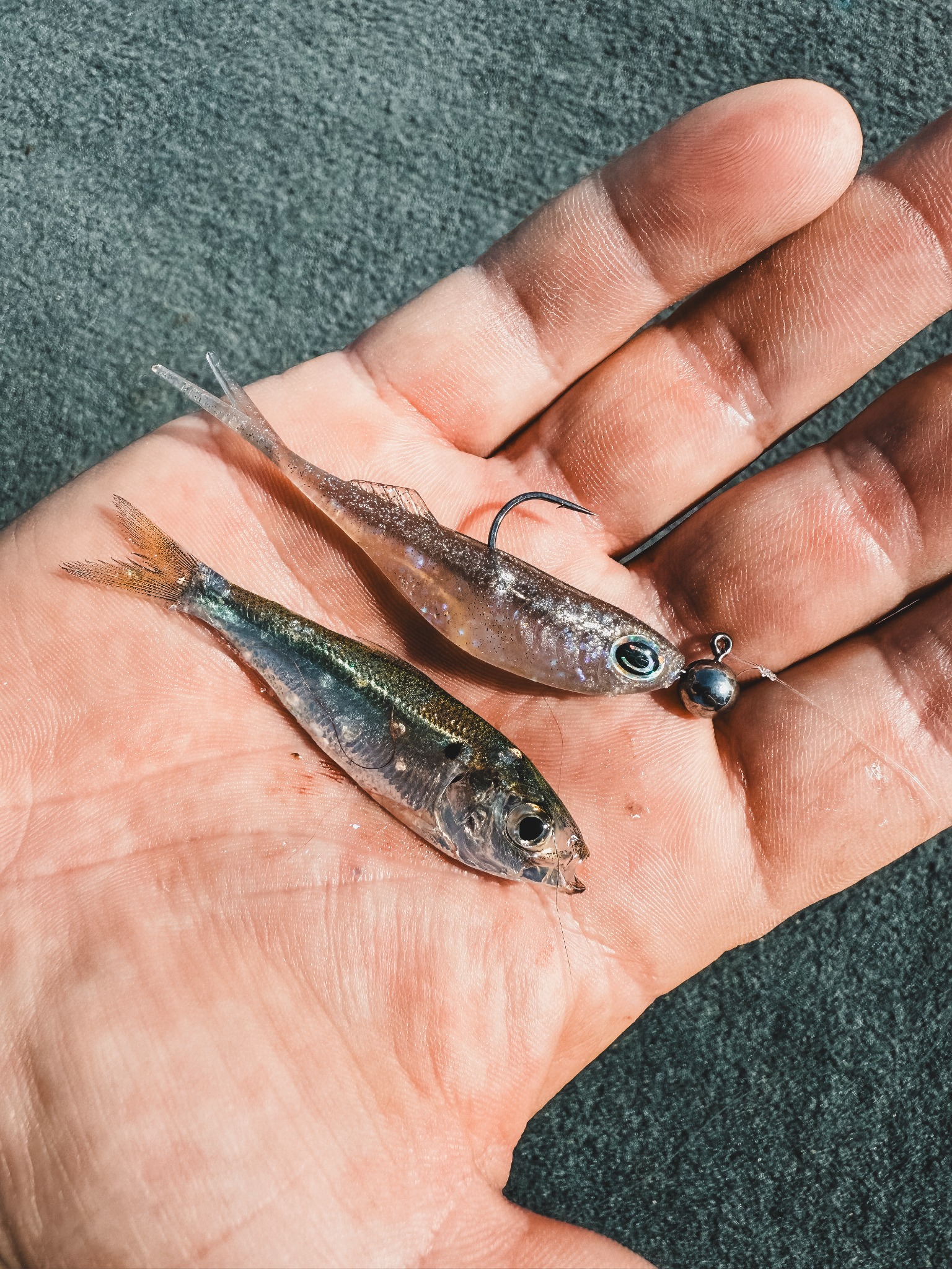 Cast Fishing Co - USA