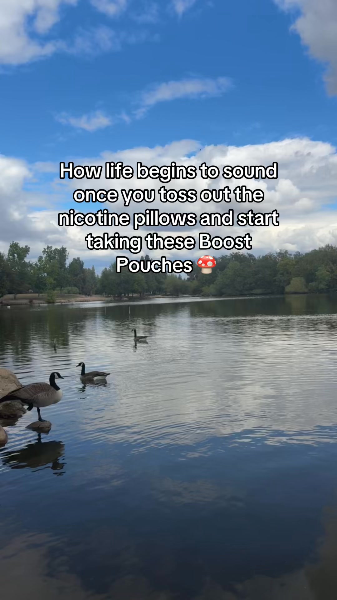 Boost Energy